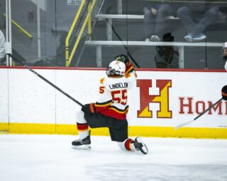 It’s the beginning of another week, we’re getting closer to Thanksgiving, it’s a beautiful day outside - let’s celebrate! 
Featuring some sweet cellys from this past Friday evening, when @fordshockey & @fordspuck defeated Garnet Valley in Central League hockey action.